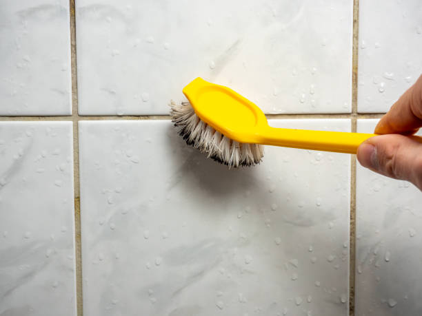 Best Best Mold Removal Companies  in Aubrey, TX