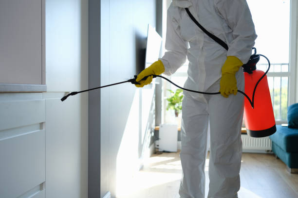 Best Mold Damage Repair  in Aubrey, TX