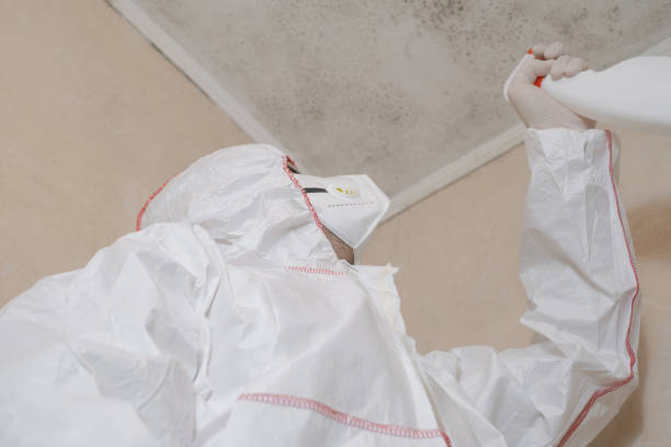 Best Affordable Mold Removal  in Aubrey, TX