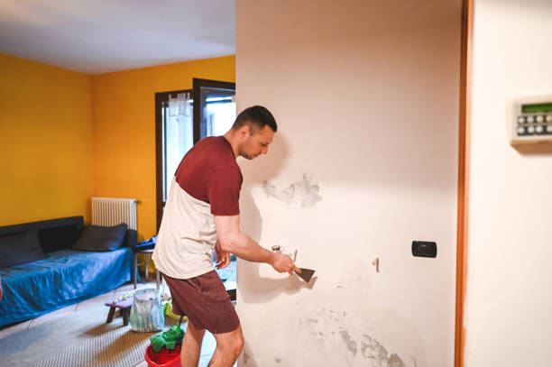 Office Mold Removal Services in Aubrey, TX