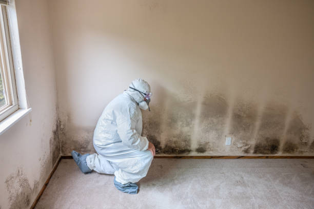 Best Home Mold Removal  in Aubrey, TX