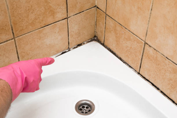 Best Mold Testing  in Aubrey, TX